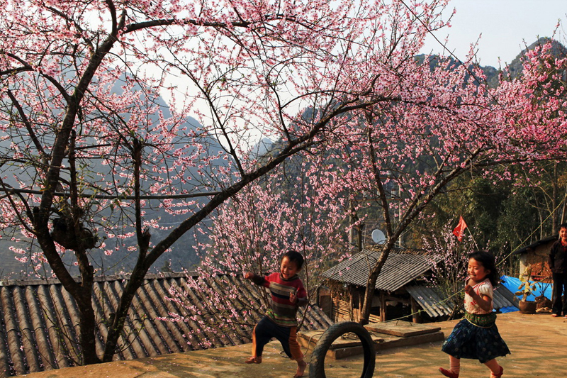 2-Day Trekking Tour from Sapa to Y Linh Ho, Lao Chai, Ta Van, Giang Ta Chai & Su Pan